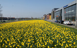 Industrieterrein Den Haag