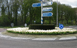 Rotonde met witte tulpen