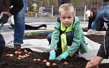 Burgerparticipatie project
