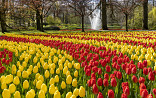 Keukenhof-dag 2024