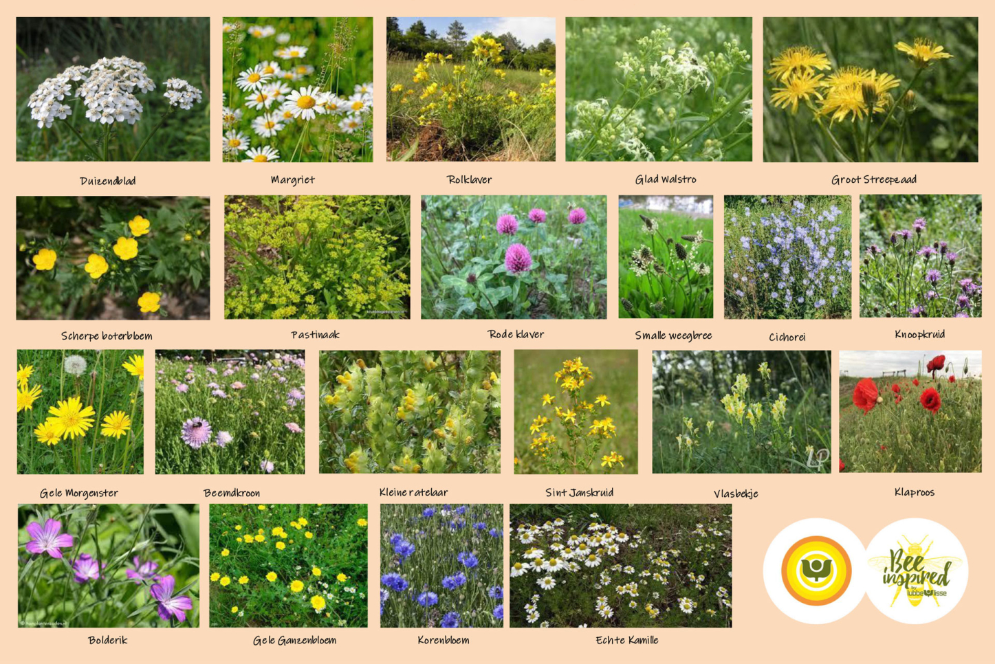 Kruidenmengsel overzicht