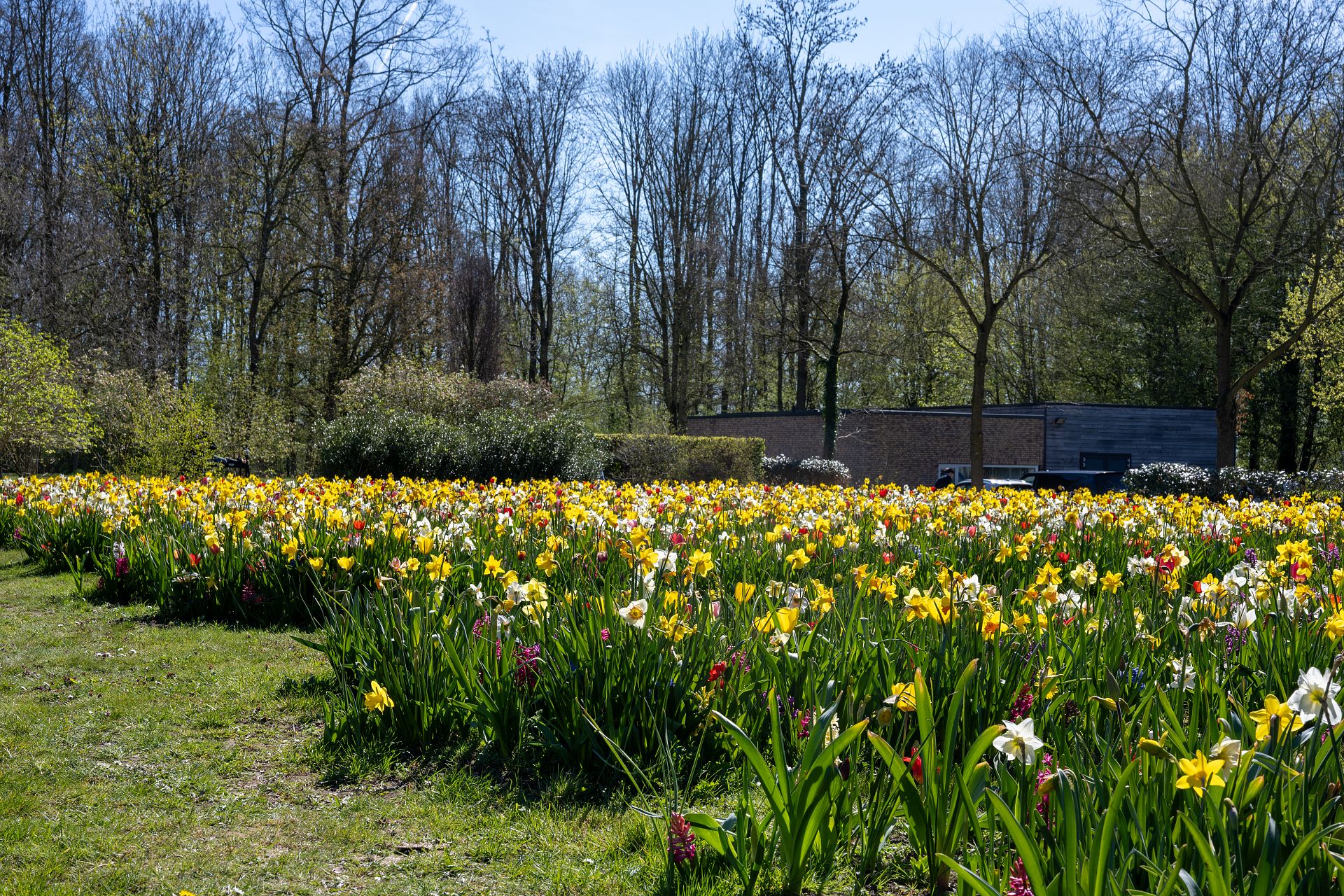 Cementry de Wissel Dronten | Project Lubbe Lisse