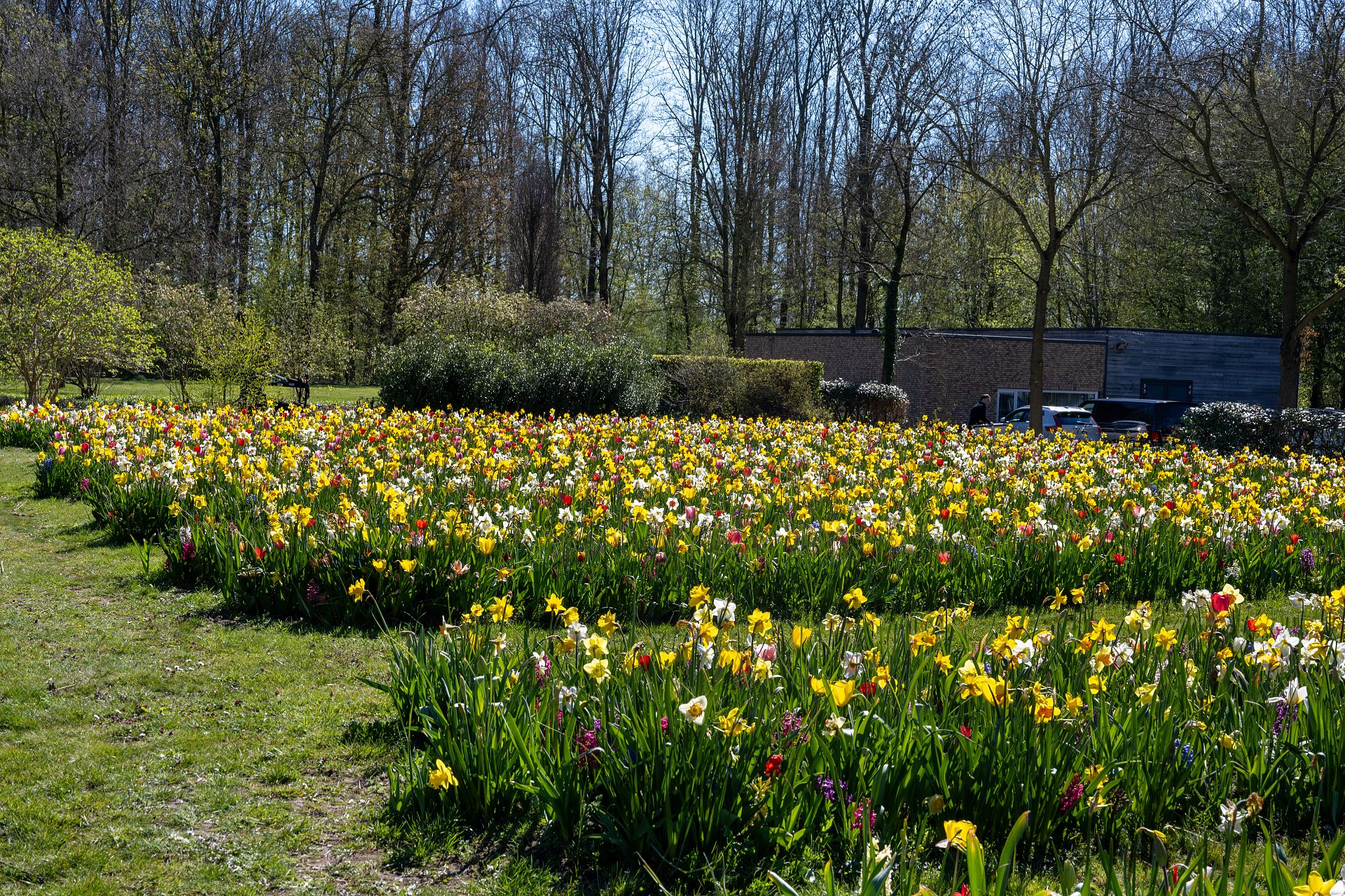 Friedhof de Wissel Dronten | Projekt Lubbe Lisse