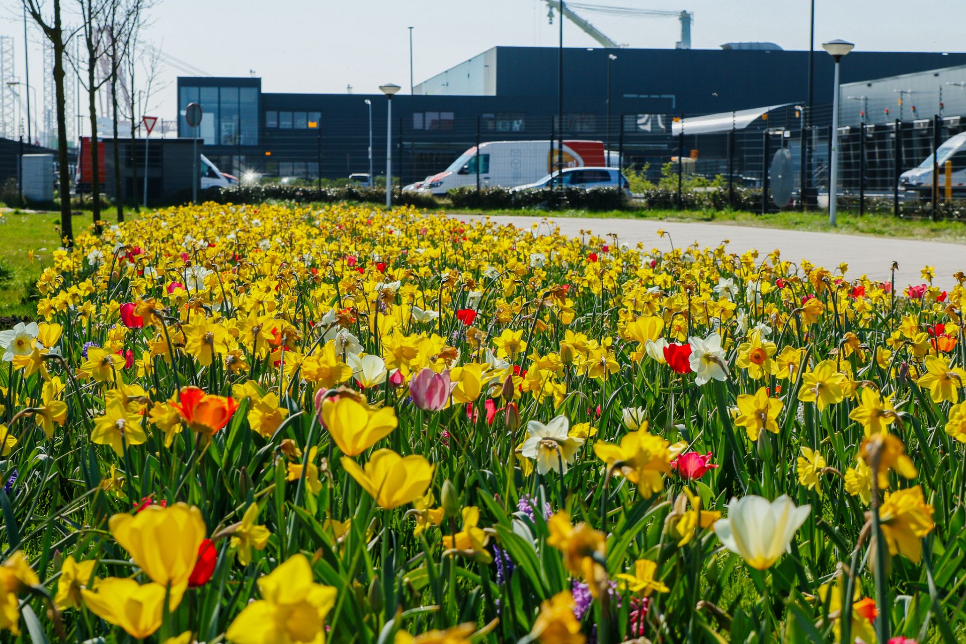 Bedrijventerrein HoogTij | Project Lubbe Lisse