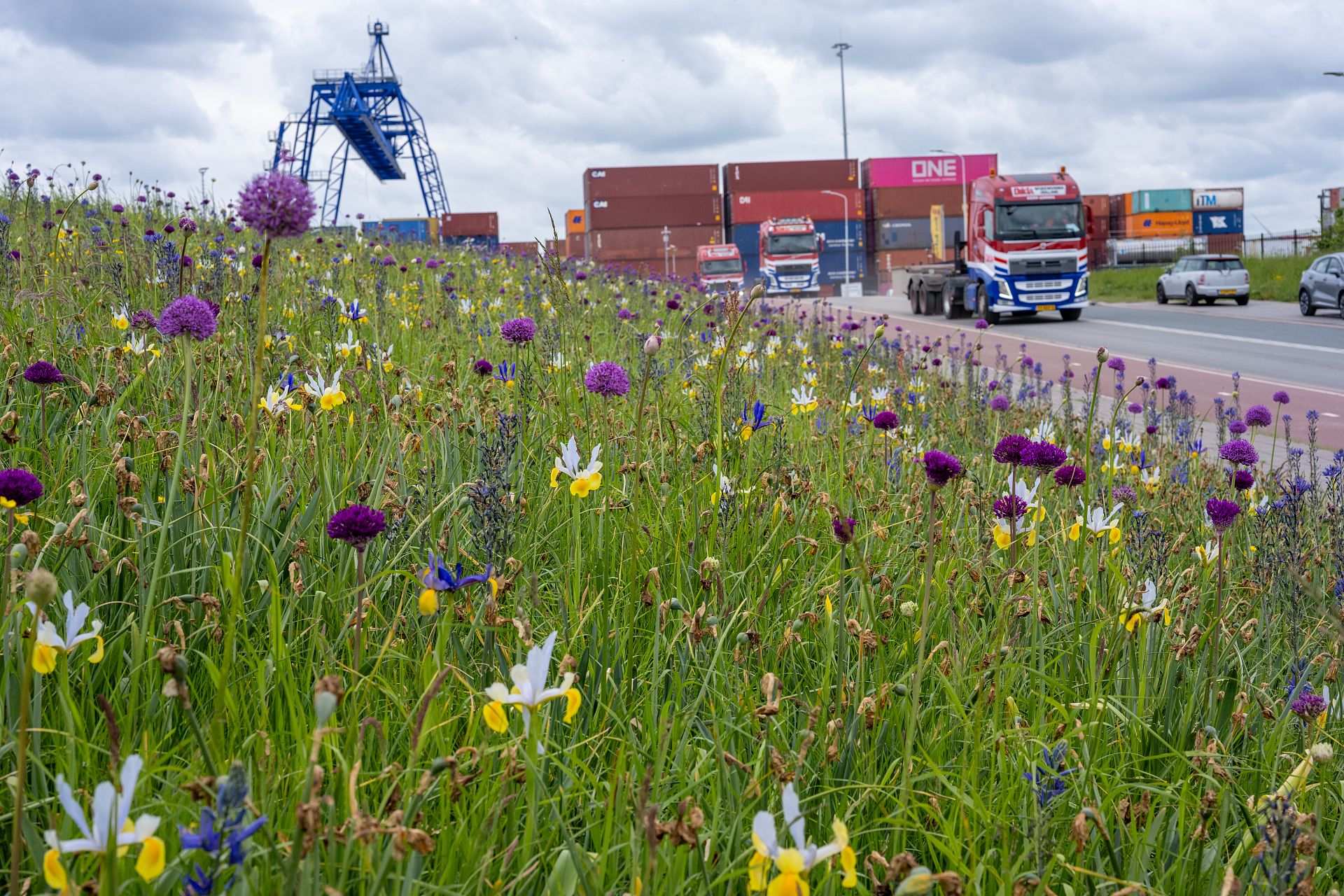 Bedrijventerrein HoogTij | Project Lubbe Lisse