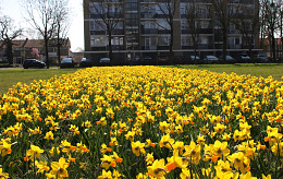 FEBRUARI - MAART