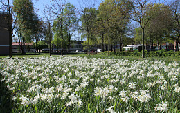 APRIL