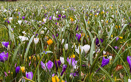 FEBRUAR