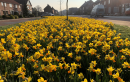 Februar – März