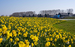 FEBRUAR - APRIL