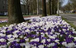 FEBRUAR - MÄRZ