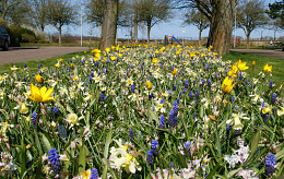 APRIL