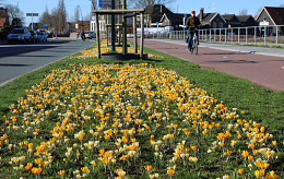 FEBRUARI