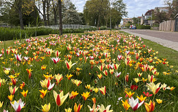 END OF MAY