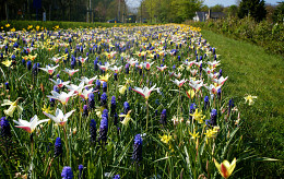APRIL