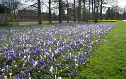 FEBRUAR
