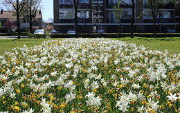 APRIL