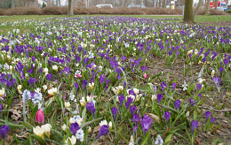 FEBRUARI