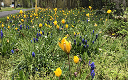 EIND APRIL