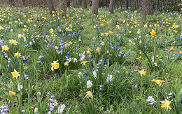 HALF APRIL