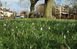 FEBRUAR 