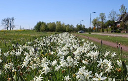 APRIL - MAI