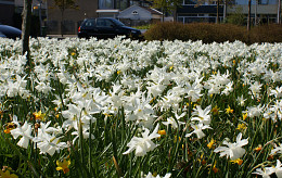APRIL