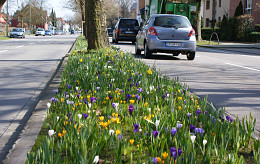 FEBRUAR