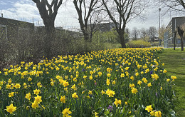 FEBRUARI - MAART