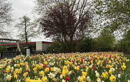 MAART - APRIL