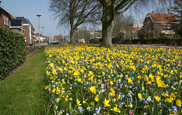MAART - APRIL