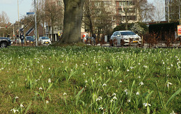FEBRUARI