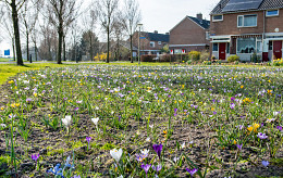 FEBRUARI - MAART