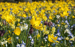 APRIL