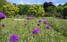 Friedhof De Wissel
