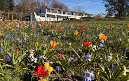 Blühender Ferienpark