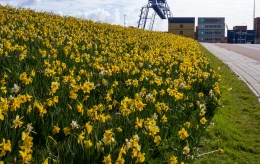 Gewerbegebiet HoogTij