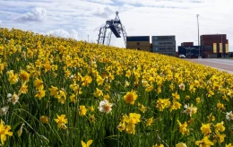 Gewerbegebiet HoogTij