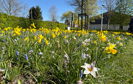 Inspirerende praktijkbijeenkomst in Riemst