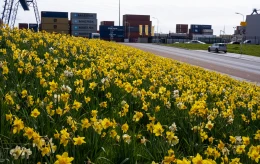 Meer kleur en biodiversiteit op bedrijventerrein HoogTij