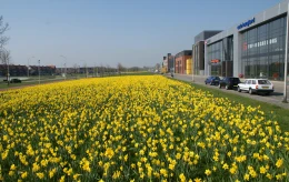 A more colourful and biodiverse future for HoogTij business park