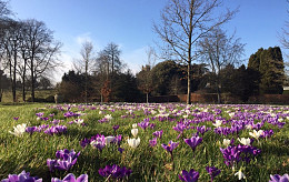 Spring 2019