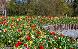 Gemeente Schagen zet in op biodiversiteit!