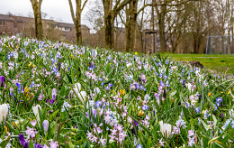 Gemeente Schagen zet in op biodiversiteit!