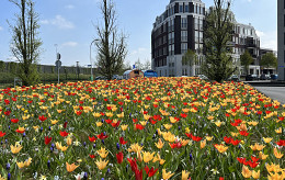 Vakbeurs Openbare Ruimte