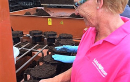 Zonnebloempitten planten voor Schiphol