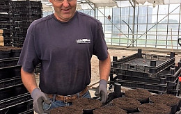 Zonnebloempitten planten voor Schiphol