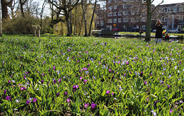 Alkmaar kiest voor beleving