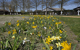 Gemeente Balen