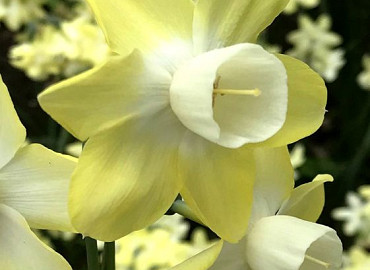 APRIL